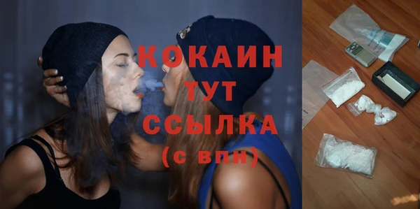 PSILOCYBIN Рославль