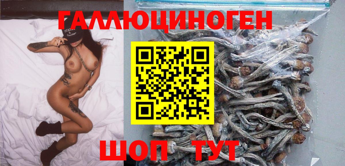 Галлюциногенные грибы мухоморы Йошкар-Ола
