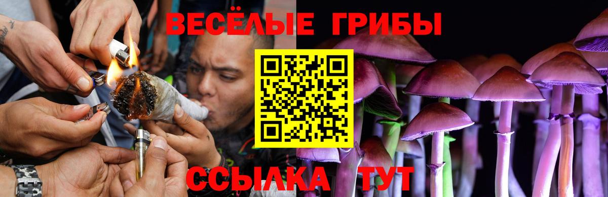 Галлюциногенные грибы Psilocybe  Вход с VPN  Йошкар-Ола  Псилоцибиновые грибы Cubensis 