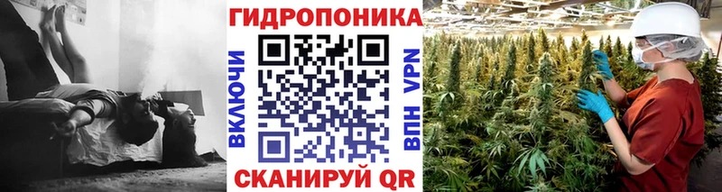 Бошки Шишки THC 21%  где купить   Йошкар-Ола 